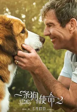 一条狗的使命2