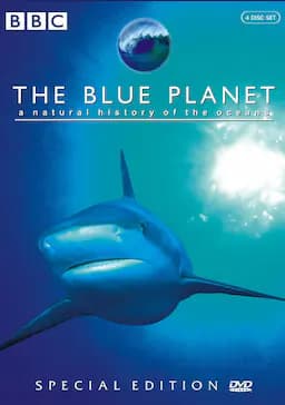 蓝色星球 第一季