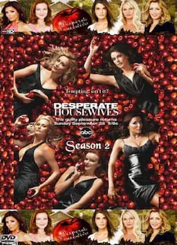 绝望主妇 第二季