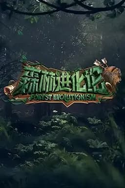 森林进化论