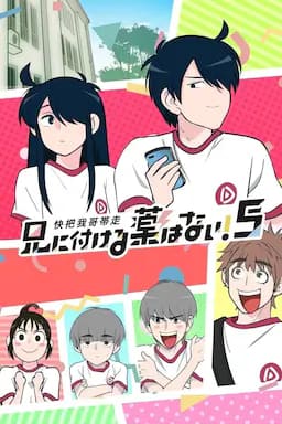 快把我哥带走 第五季