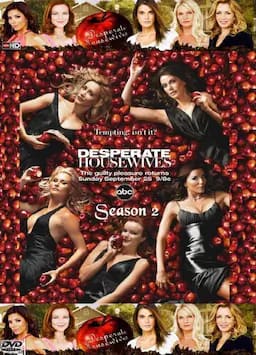 绝望主妇 第二季