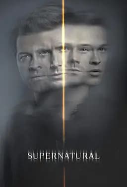 邪恶力量 第十五季